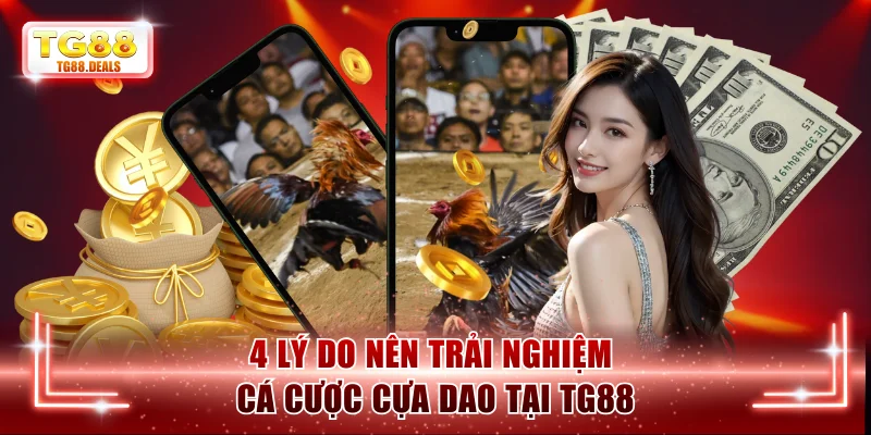4 lý do nên trải nghiệm cá cược cựa dao tại TG88