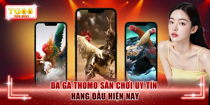 Đá gà Thomo sân chơi uy tín hàng đầu hiện nay