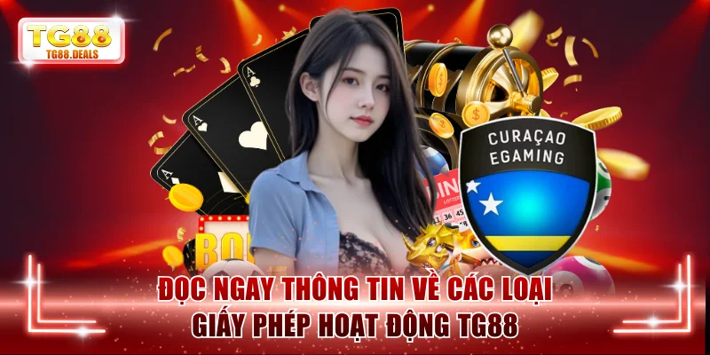Đọc ngay thông tin về các loại giấy phép hoạt động TG88
