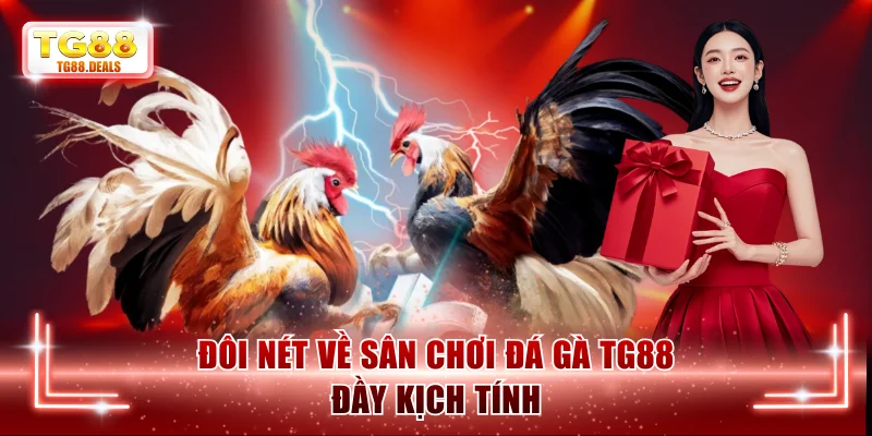Đôi nét về sân chơi đá gà TG88 đầy kịch tính