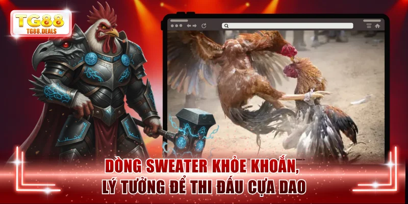 Dòng Sweater khỏe khoắn, lý tưởng để thi đấu 