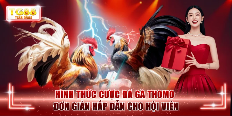Hình thức cược Đá gà Thomo đơn giản hấp dẫn cho hội viên