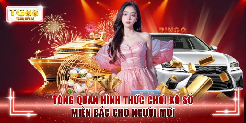 Khám phá toàn diện về hình thức xổ số miền Bắc