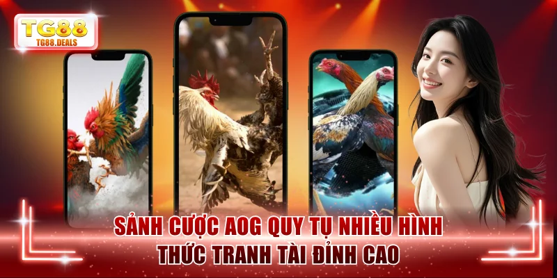 Sảnh cược AOG quy tụ nhiều hình thức tranh tài đỉnh cao