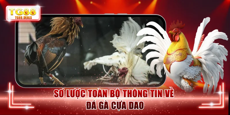 Sơ lược toàn bộ thông tin về đá gà cựa dao