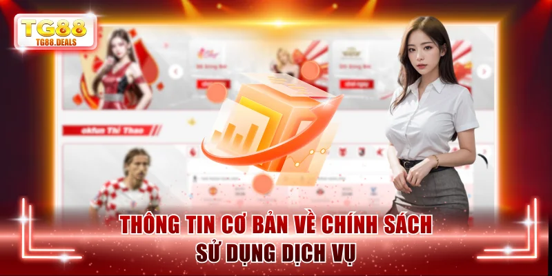 Thông tin cơ bản về chính sách sử dụng dịch vụ