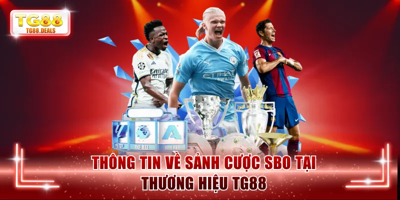 Thông tin về sảnh cược SBO tại thương hiệu TG88