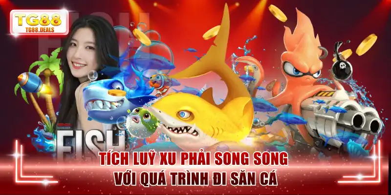 Tích luỹ xu phải song song với quá trình đi săn cá