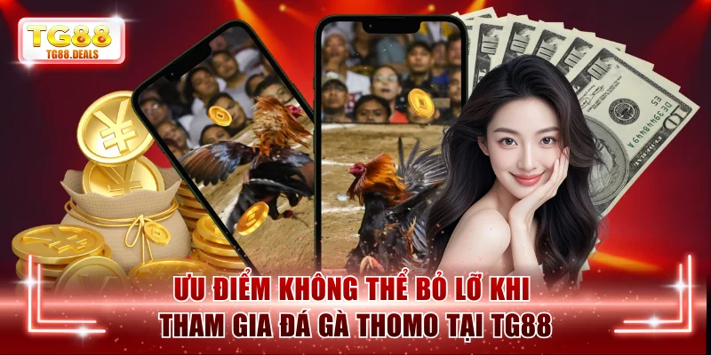 Ưu điểm không thể bỏ lỡ khi tham gia Đá gà Thomo tại TG88